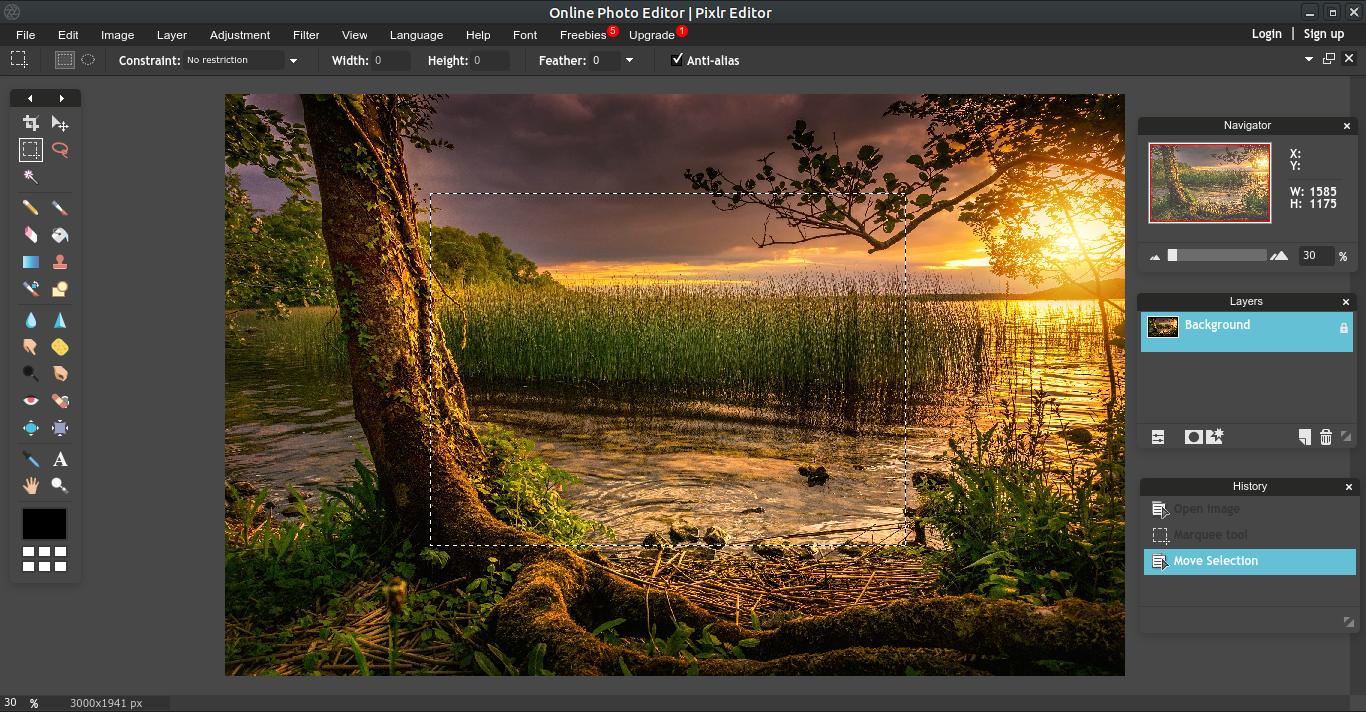 Pixlr AI image editor browser interface with basic photo editing tools